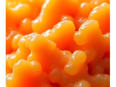 北海道産 生うに (Hokkaido Live Sea Urchin)